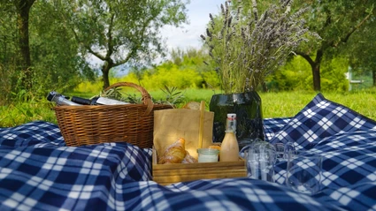 Picnic d'Autore in vigneto: l'Essenza del Lago di Garda a Lazise 10